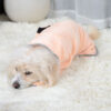 Buy Quick-drying Pet Absorbent Towel Dog Bathrobe Pet Dog Bath Towel For Dogs Cats Microfiber Absorbent Pet Drying Towel Pet Supplies Pet Products - High-Quality & Affordable - Image 9