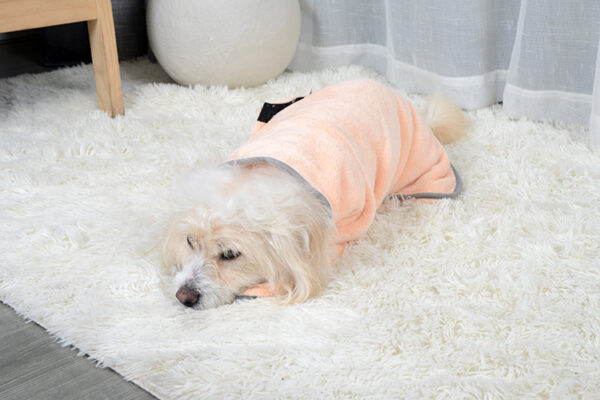 Buy Quick-drying Pet Absorbent Towel Dog Bathrobe Pet Dog Bath Towel For Dogs Cats Microfiber Absorbent Pet Drying Towel Pet Supplies Pet Products - High-Quality & Affordable - Image 2
