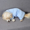 Buy Quick-drying Pet Absorbent Towel Dog Bathrobe Pet Dog Bath Towel For Dogs Cats Microfiber Absorbent Pet Drying Towel Pet Supplies Pet Products - High-Quality & Affordable - Image 7