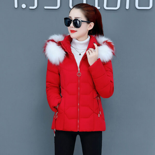 Buy Women's Short Detachable Large Fur Collar Cotton Coat - High-Quality & Affordable - Image 6