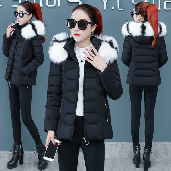 Buy Women's Short Detachable Large Fur Collar Cotton Coat - High-Quality & Affordable - Image 8